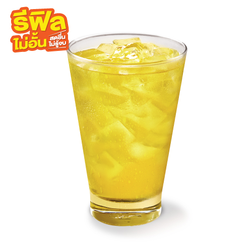 Chrysanthemum Tea Refill